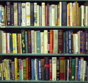 27 Everyone's Life is a Best Seller 1