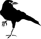 crow