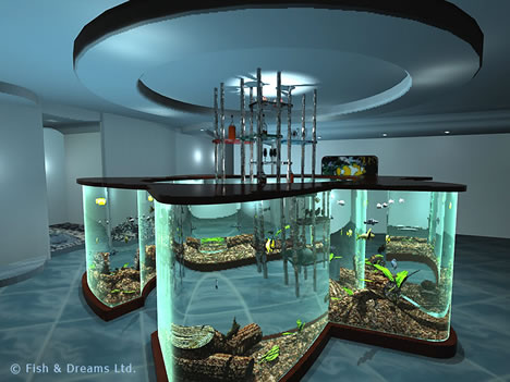 3D-bar-aquarium