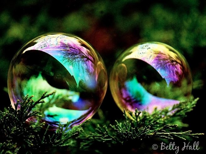 bettyhallphotography