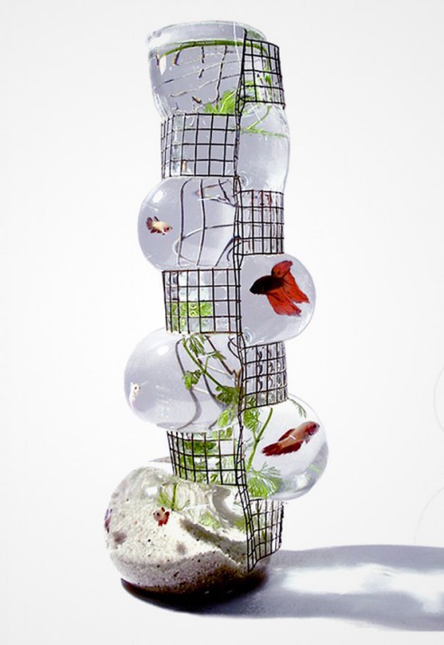 creative-aquariums-25-2