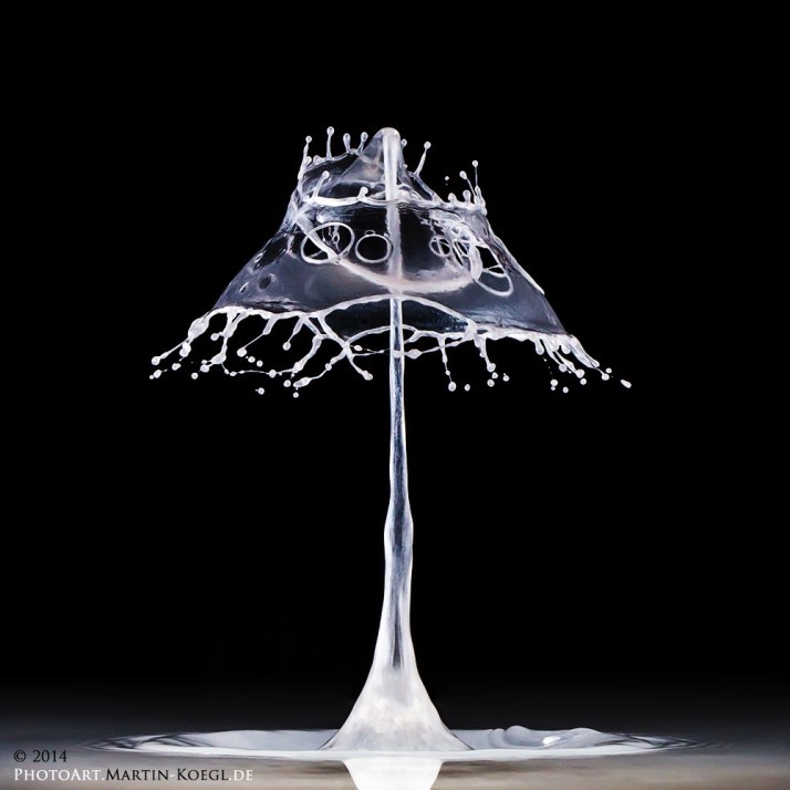 20140413-img_2867_1000px_1000