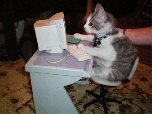 56179-cat-on-keyboard-typing-gif-hI43