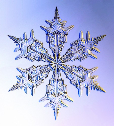 snowflake 6