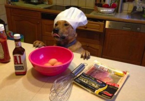 dog-cooking