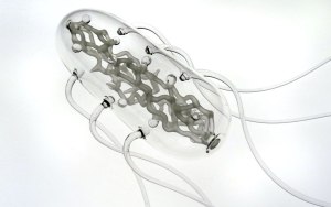 salmonella_lukejerram