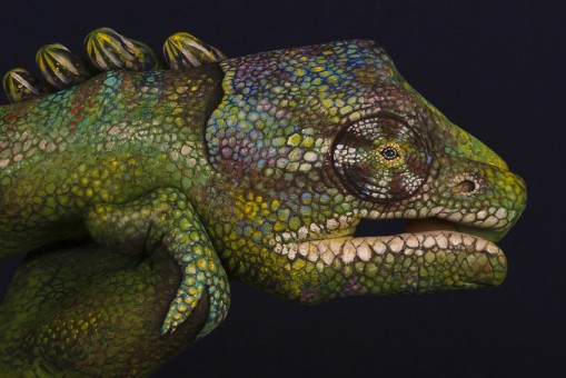 Chameleon-509x340