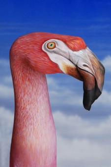 Flamingo1-226x340