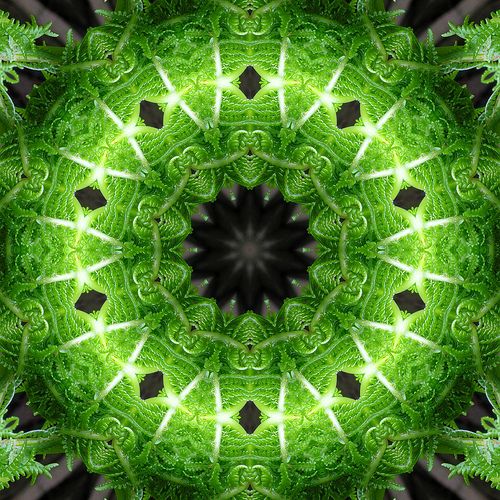 613051cbf108faedd7b298b38b6bff3c