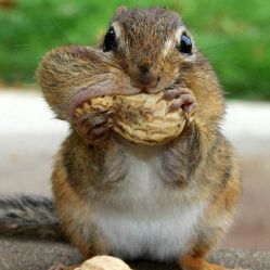 a4d9a6e95ab9b4ddaac67a2adb860cb5