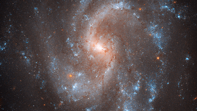 NGC5584