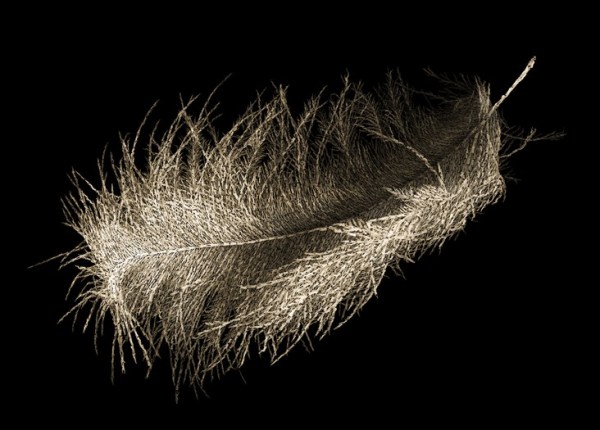 4 slide_423380_5439900_free