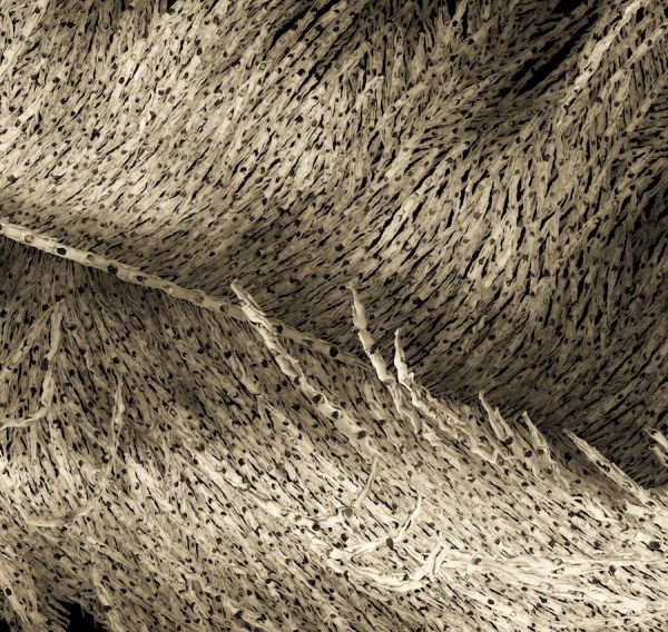 6 slide_423380_5439996_free