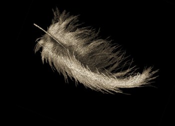 7 slide_423380_5439904_free