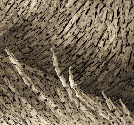 slide_423380_5439996_free