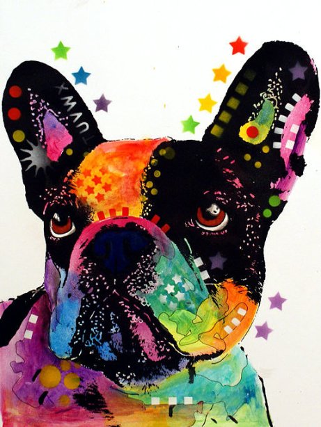 3-french-bulldog-dean-russo