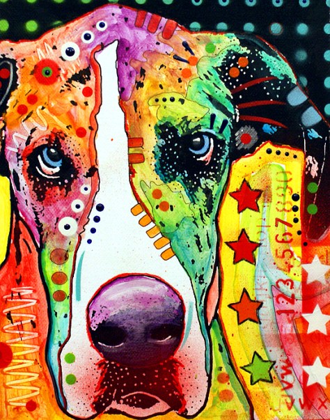 8-great-dane-dean-russo