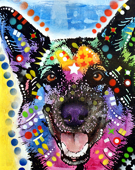 happy-shepherd-dean-russo