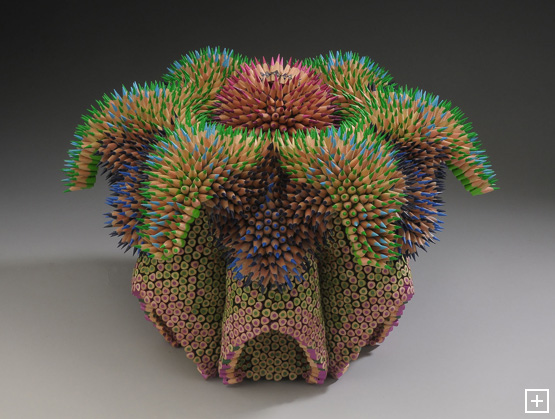 2011_maestre_cycad_front