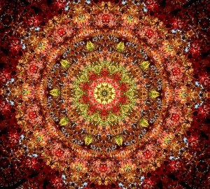 59744464_0105e3380d_z