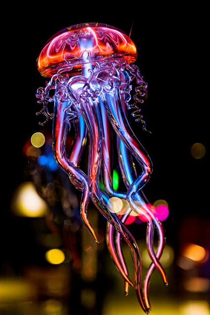 Neon Jellyfish Tambako The Jaguar