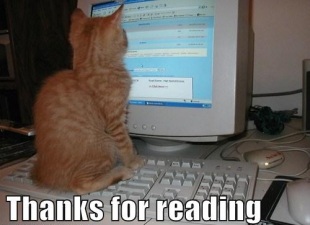 thanks_for_reading_cat_2