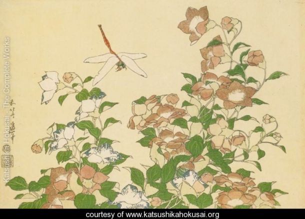 Bell-Flower-and-Dragonfly-large