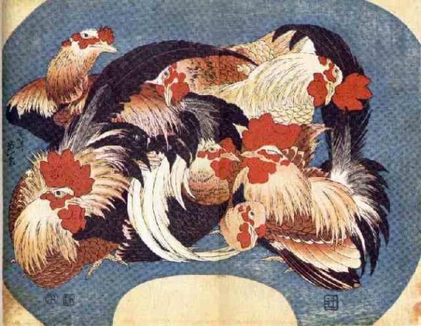 Flock of Chickens