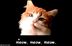 tumblr_lmndk2YwcA1qfoh4t