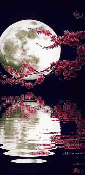 11266827_450603215100276_988637154_n