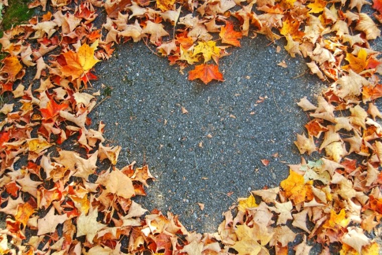 41524-autumn-leaf-heart