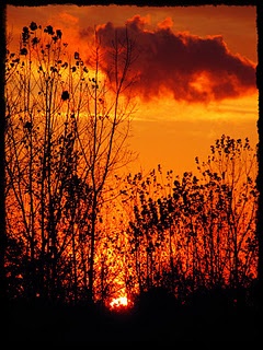 9572440208093fac1c038300b1bd0500