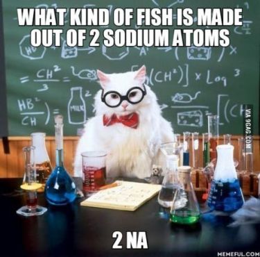 0a7afeb6e9780557494475f7b1be8b38