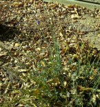 20161110_105725_resized