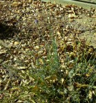 20161110_105725_resized