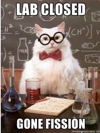 chemcat_gonefission